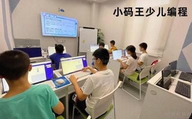 成都小碼王少兒編程 網(wǎng)絡投資管理與咨詢